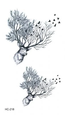 Forest Deer