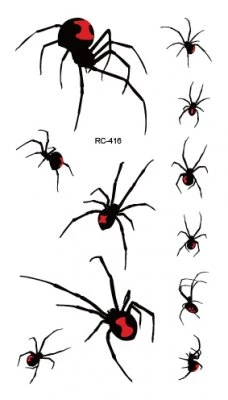 Black Widow Spiders