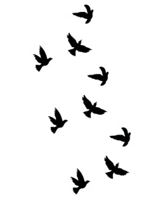 9 sm&aring; f&aring;glar