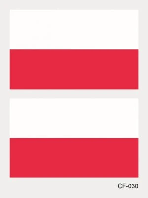 Polens flagga