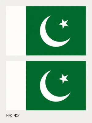 Pakistans flagga