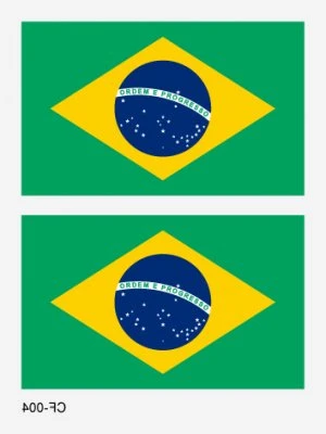 Brasiliens flagga