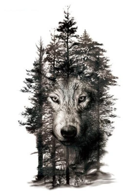 Wolf in the forest