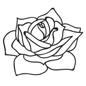 Small Rose