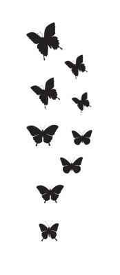 Butterflies Taking Off
