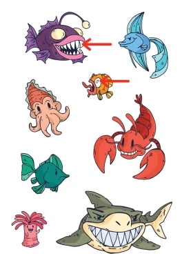 Sea Animals