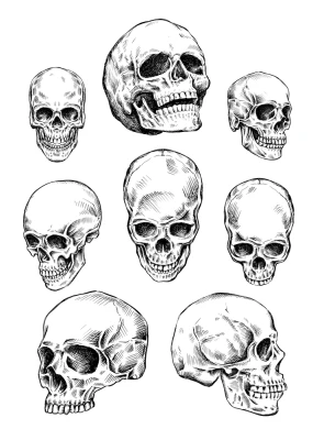 Mixed Death Skulls